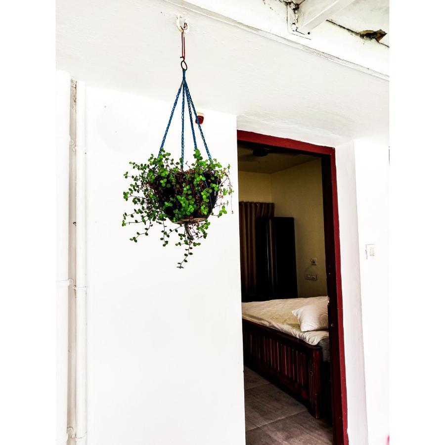 Nature Villa Kochi Alwaye Екстериор снимка